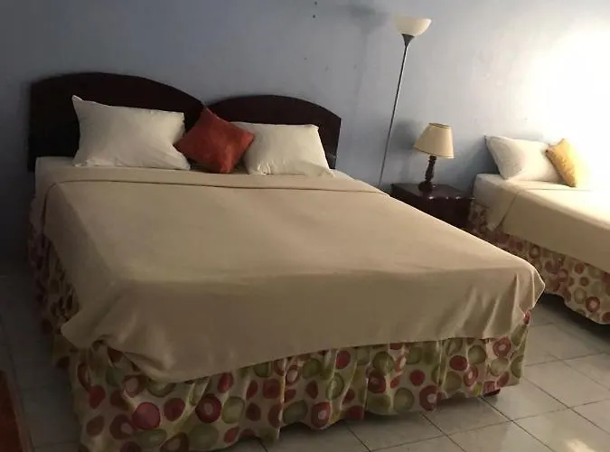 Tropical Court Near Airport Hotel 3*
