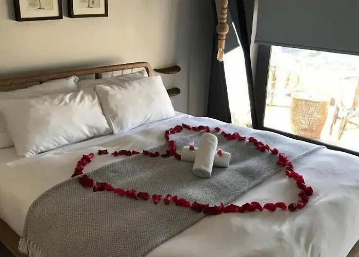 Tropical Court Near Airport Hotel Montego Bay