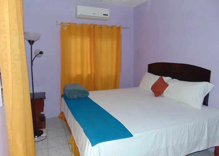 Tropical Court Near Airport Hotel 3*
